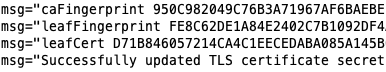 Consul certificate rotation logs more information