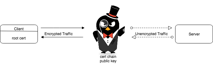 Cert chain public key